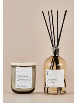 Schlussverkauf 🔥 Dekoration BELLA MAISON Duftstäbchen Osmanthus In Transparent Günstig Kaufen 😀 -bella-maison Verkaufsladen bella maison duftstabchen osmanthus in transparent 2